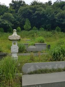overgrown funerary marker in Goheung